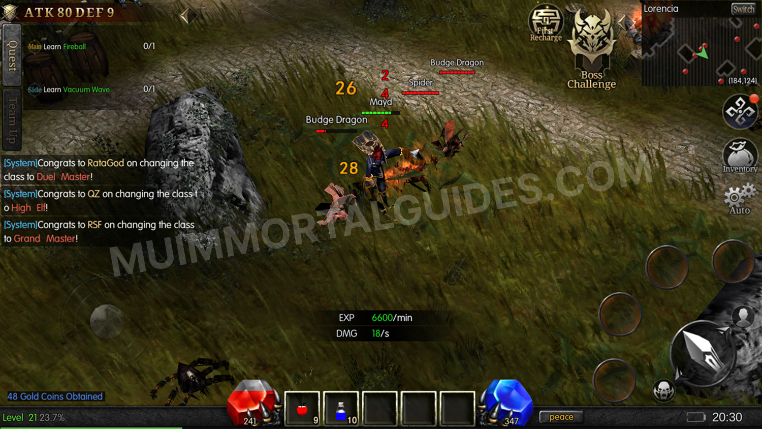 Screenshot of the combat in MU Immortal