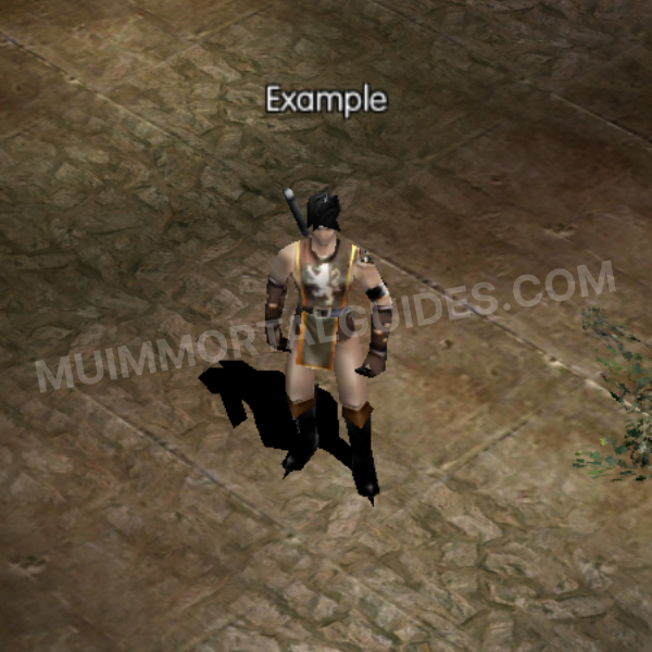 Dark Knight In-Game