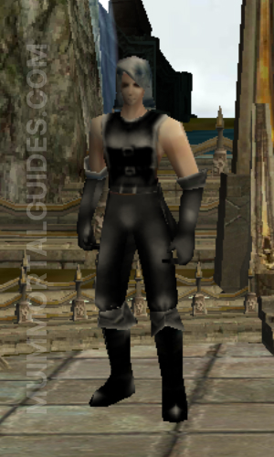 Dark Wizard in MU Immortal